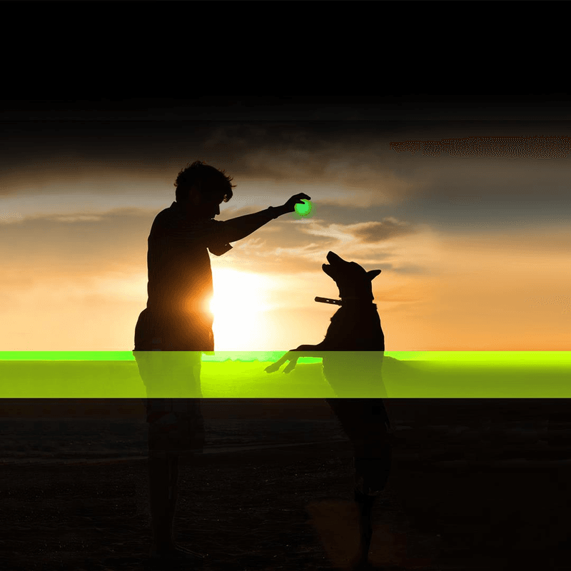 Hundeleke LED Flash Ball USB Gul/Grønn