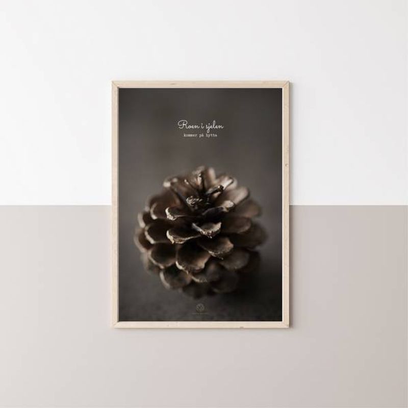 Kongle | 50x70 Plakat