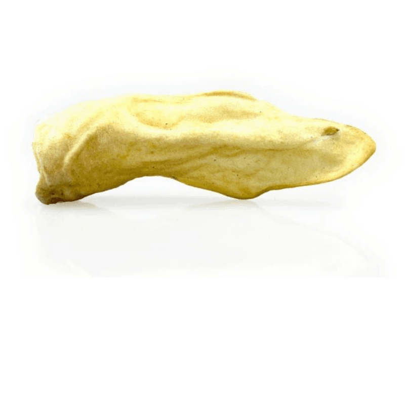 Geiteører