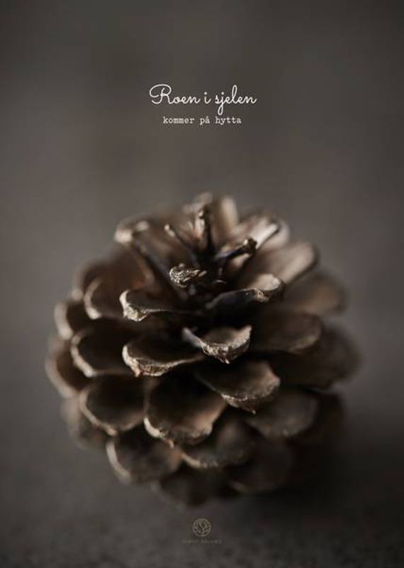 Kongle | 50x70 Plakat