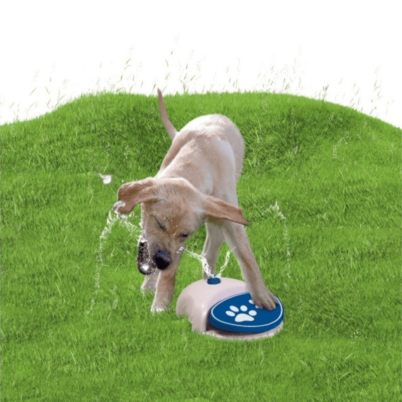 CoolPets Splash Water Fountain