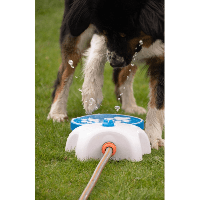 CoolPets Splash Water Fountain
